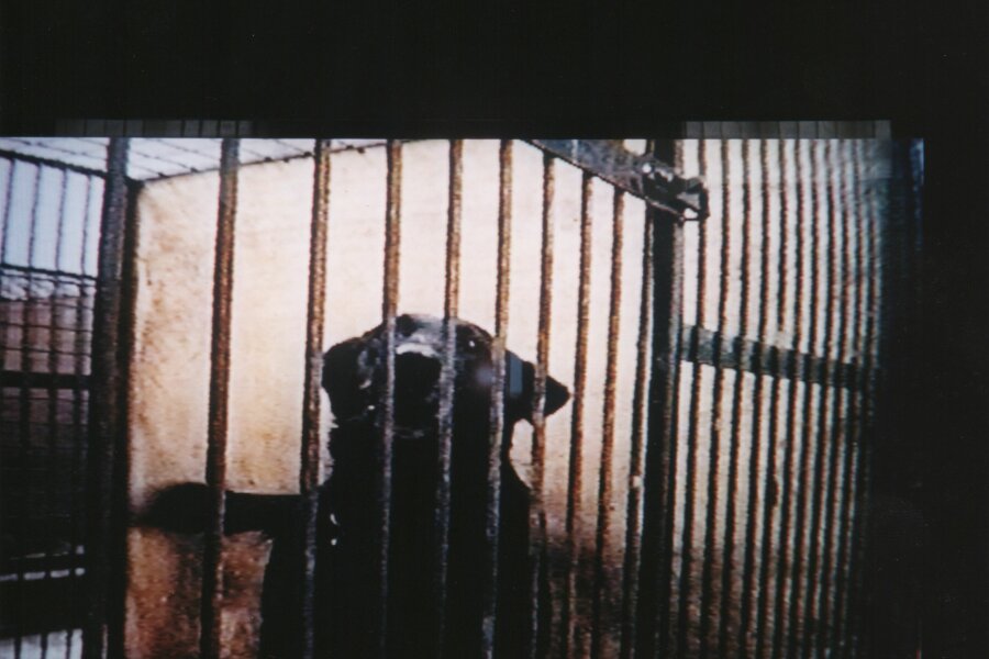 G99-22-6-foto-dilo-004.jpeg
